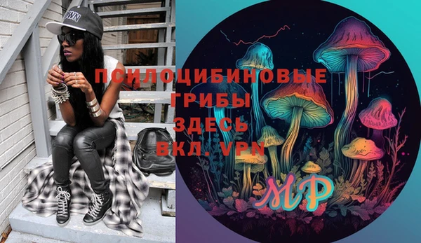 герыч Вяземский