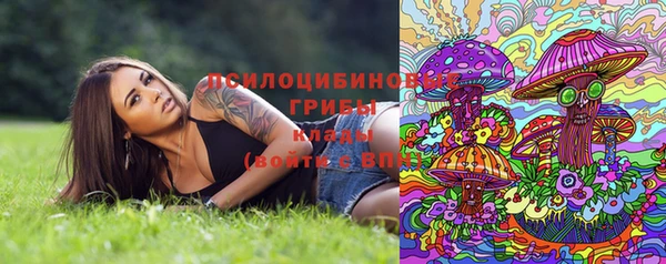 герыч Вяземский
