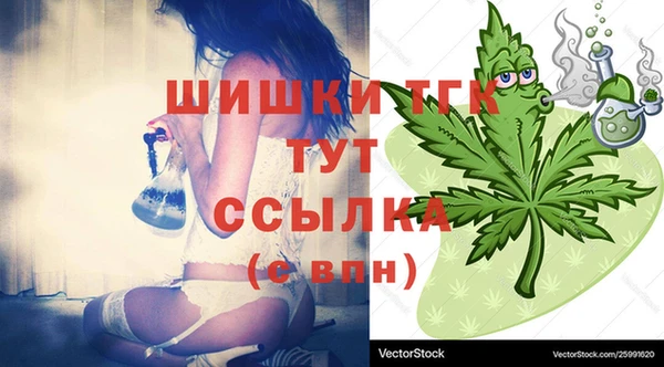 МДПВ Вязьма