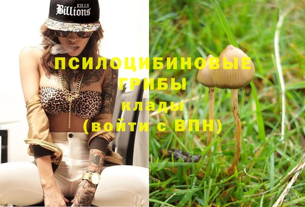 прущая мука Вязники