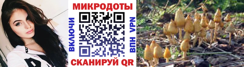 Псилоцибиновые грибы MAGIC MUSHROOMS  Купить где  Майкоп 